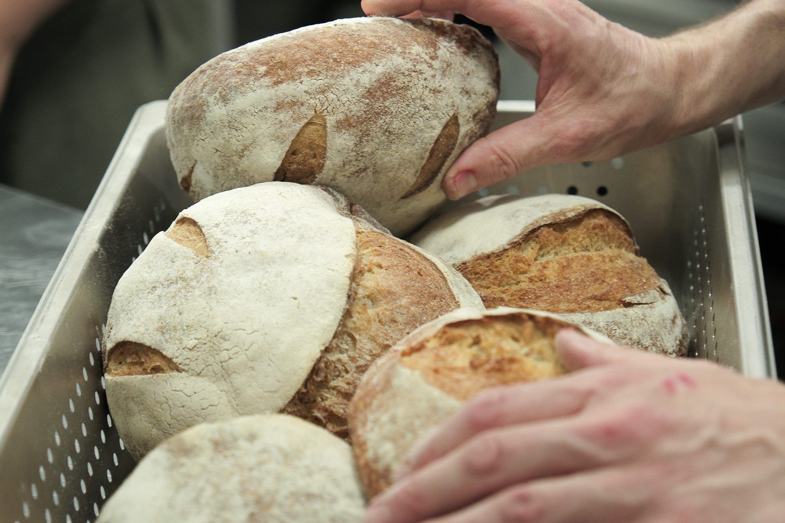 Loaves of bread lifted from a tray by hand in the Clementina kitchen